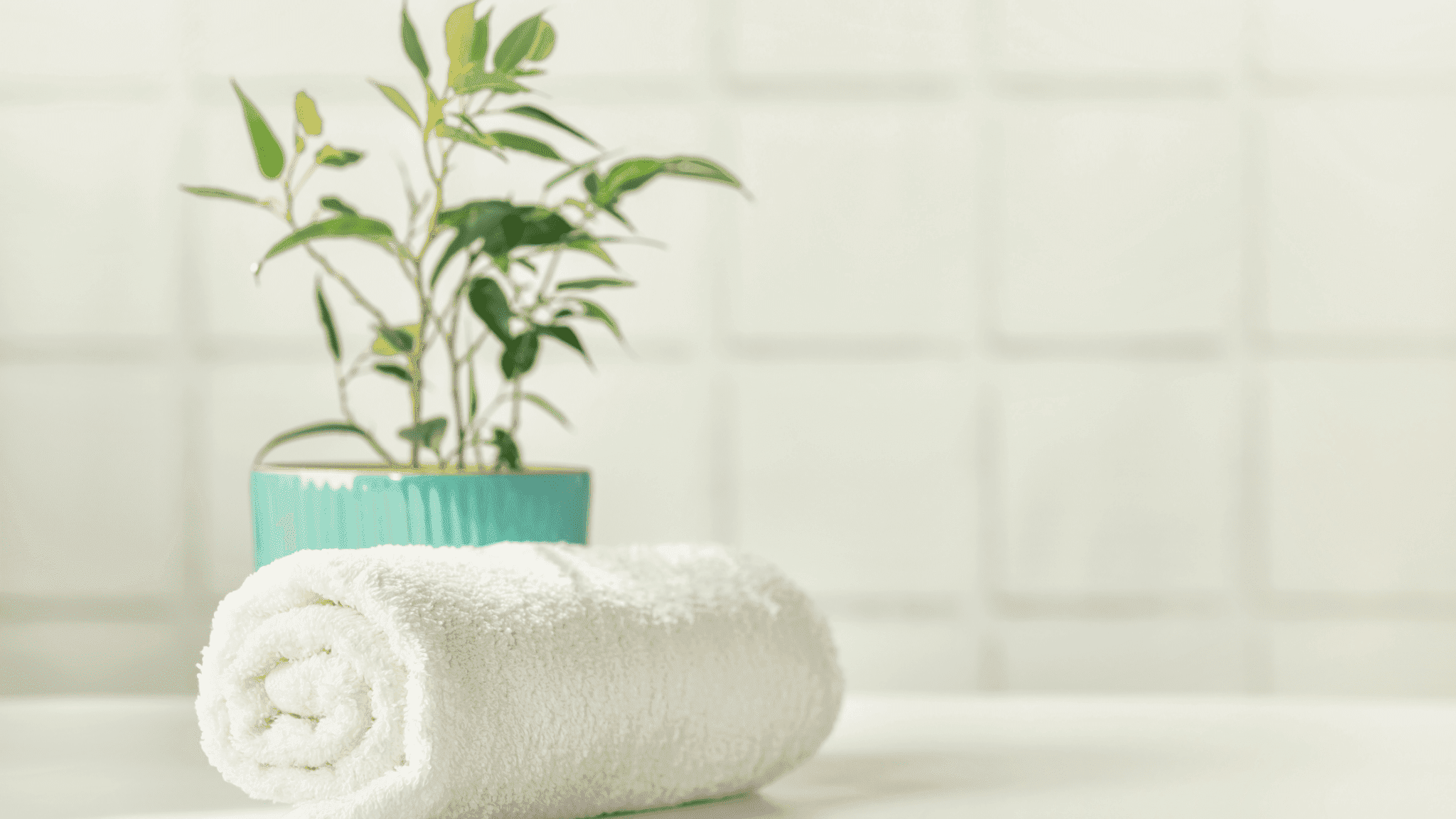From Dated to Modern: Transforming Your Bathroom With Simple Changes